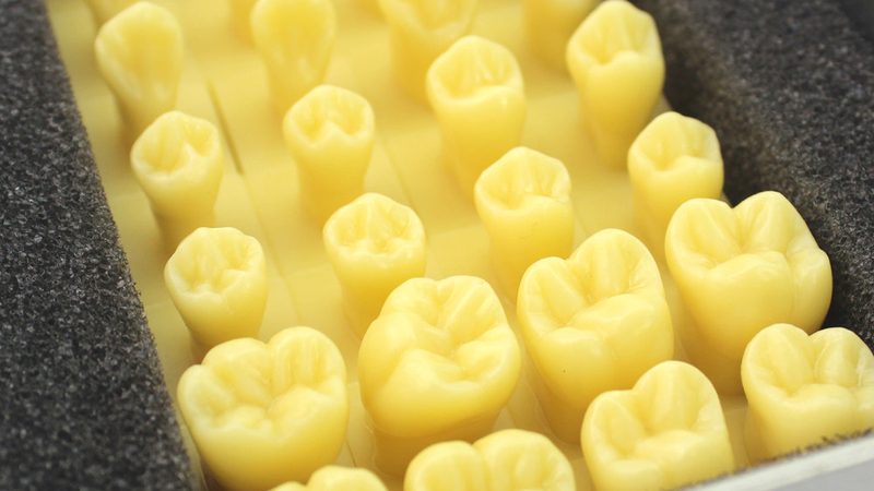 大牙小牙，如何准确分辨？牙医教你识别口腔牙齿